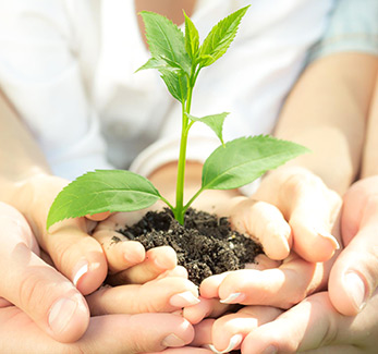 about-greenforet-img